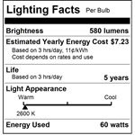 Incandescent Bulb, 60W, G40 Globe, Medium Base, Clear, 2600K