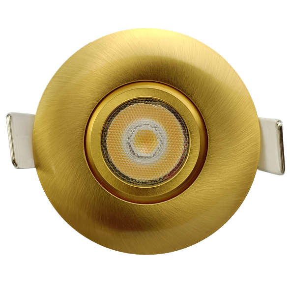 2" Round Flushed Gimbal (Brushed Brass) - main product image