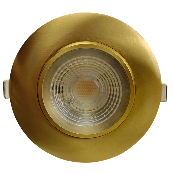4" Round Flushed Gimbal (Brushed Brass) - main product image