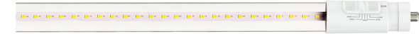 T8 8 Ft Led Bypass Clear 5CCT