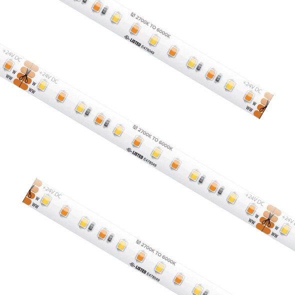 Proluxe SPTL-TW Series Tape Light, Tunable White, 24V DC, 13.1ft Reel, IP54, 2700K-6000K, 510 lm/ft, 7W/ft, 90+ CRI