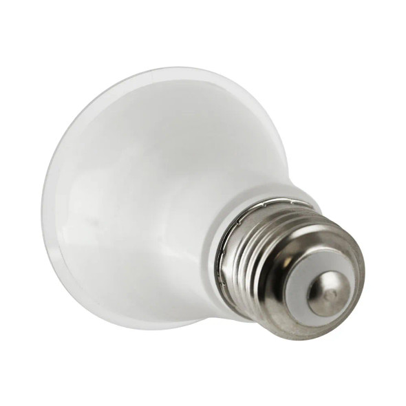 LED PAR20 Lamp, 5.5W, 120V, 500lm, 40° Beam Angle, E26 Base, Wet Rated, Dimmable, 2-Pack