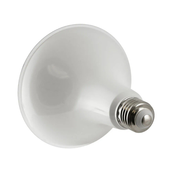 LED PAR38 Lamp, 12W, 1050lm, 5000K, 120V, 40°, E26, Wet Rated, Dimmable, 2-Pack