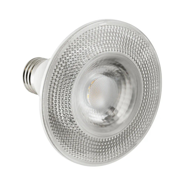 LED PAR30 Lamp, 11W, 5000K, 120V, 40°, E26, Wet Rated, Dimmable, 2-Pack