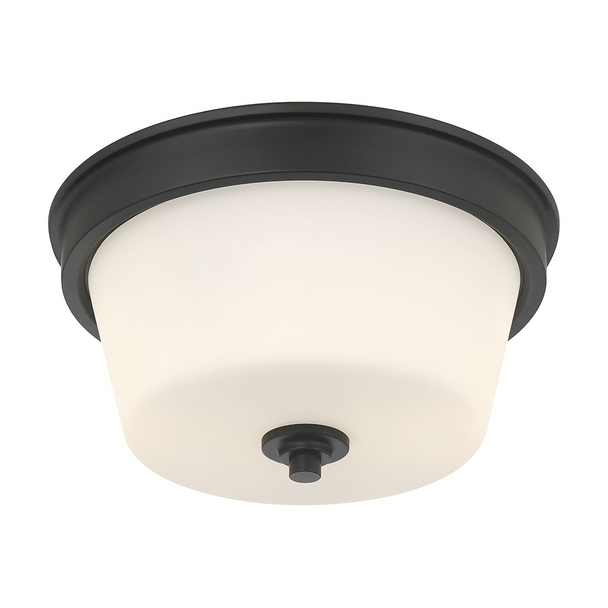 Strayhan Two Light Flush Mount, Matte Black, 2-Light, Medium (E26), 120V