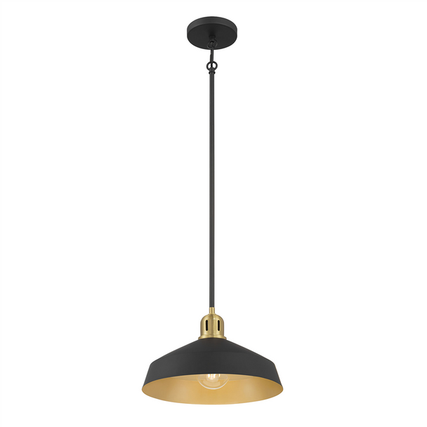 Axlen One Light Pendant, 1-Light, Matte Black/Vintage Brass, 60W, 120V