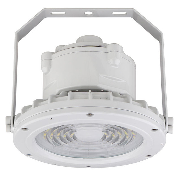 30 Watt Hazardous Location Flood Light/Highbay Light