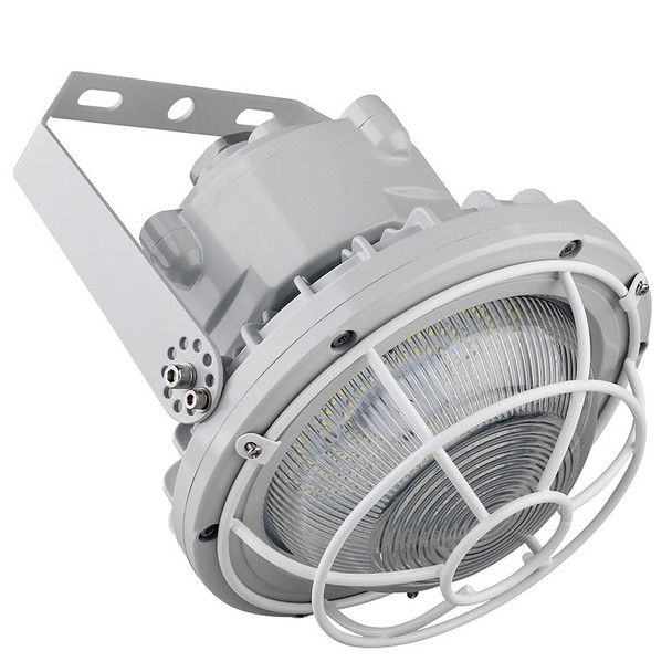 Dome Wire Guard for EXPR 100W - 150W