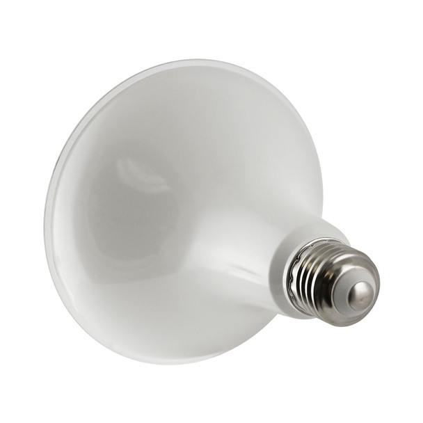 15 Watt LED PAR38 Long Neck Bulb