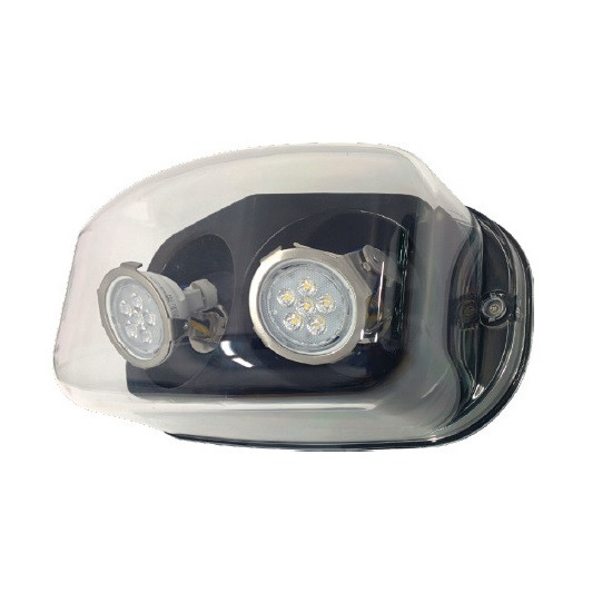 LED NEMA4X/NSF Remote Head, Twin, White