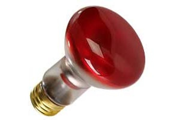 R20, Ceramic Red, 50 Watts