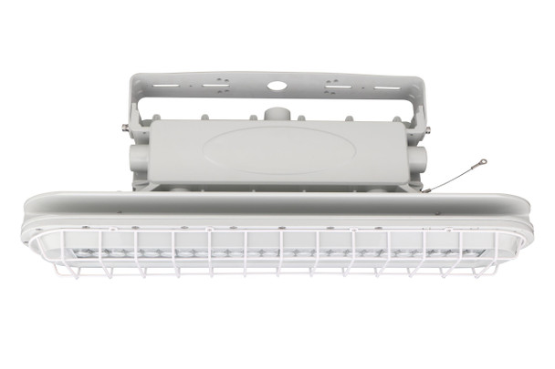 80 Watt Hazardous Linear High Bay, 5000K, Flat Clear Lens, No Extra Optics, 3/4 NPT
