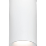 Selectable LED Cylinder, Power & CCT Selectable, 120-277Vac, 0-10V dimming, Multiple Beam Spread, Optional Integrated BLE Mesh Module