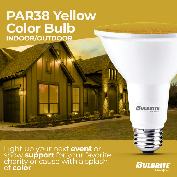 Bulbrite LED 15 Watt Par38 Light Bulb With Medium Screw (E26) Base - alternate image 28