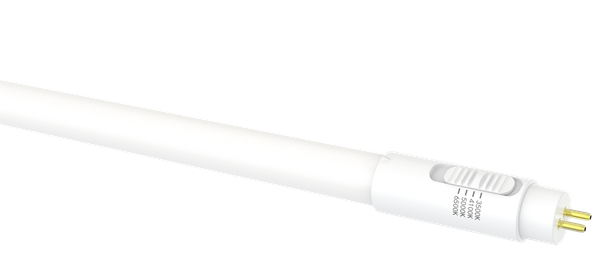 T5 3 Ft Led Ho Bypass 4CCT - main product image