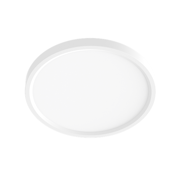 12" Round Surface Mount - main product image