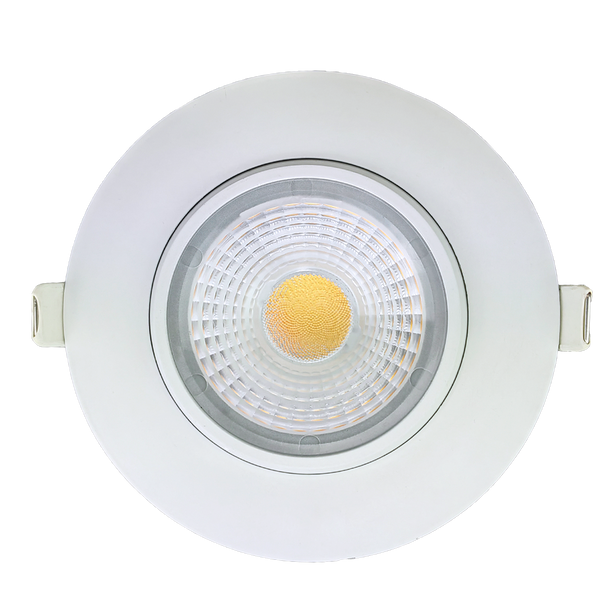 4" Round Flushed Gimbal (White) - main product image