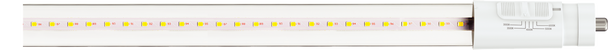 T8 8 Ft Led Bypass Clear 5CCT