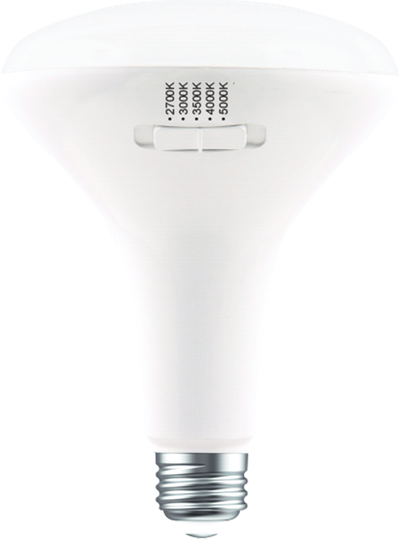 BR30 Led Bulb 5CCT - main product image
