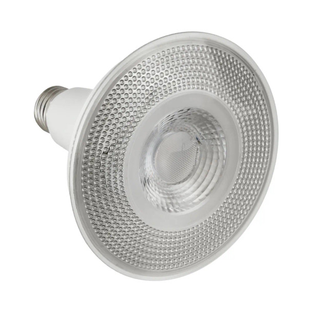 LED PAR38 Lamp, 12W, 1050lm, 5000K, 120V, 40°, E26, Wet Rated, Dimmable, 2-Pack