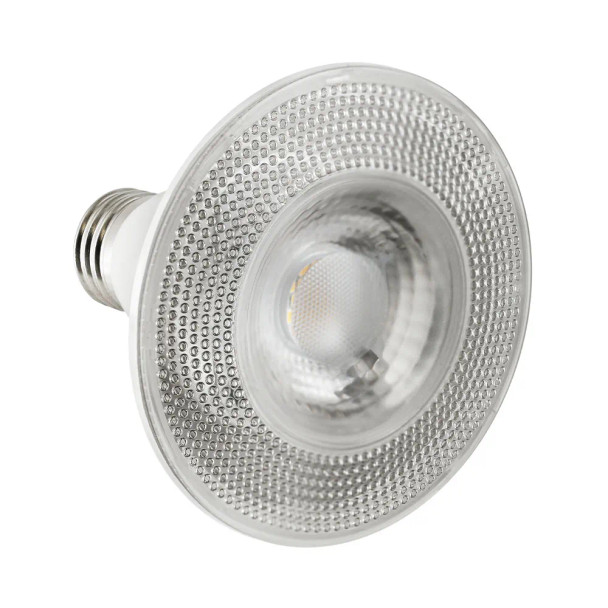 LED PAR30 Lamp, 11W, 5000K, 120V, 40°, E26, Wet Rated, Dimmable, 2-Pack