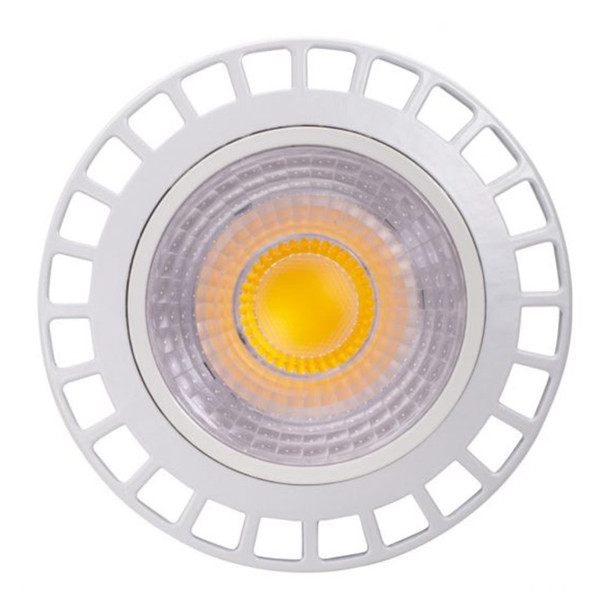 LED PAR Lamp, PAR38, 29W, 4000K, 40° Flood, 120-277V
