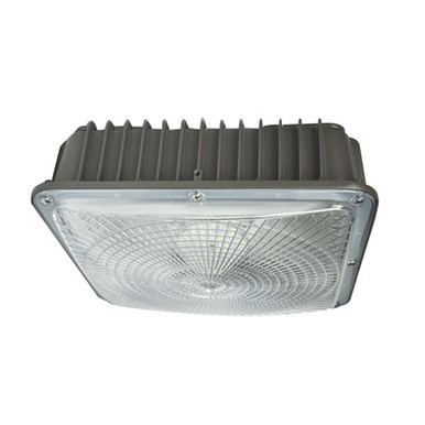 75 Watt DUO Sector Canopy Light - CCT Adjustable