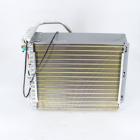 Evaporator assembly MVP-24-HP-MUAH-230-25