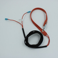 Crankcase electric heater