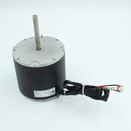 Brushless DC Motor