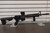 Battle Arms Development BAD-15 AR-15 rifle equipped with Vortex SPARC red dot sight, LaRue Tactical grip, and Magpul stock.