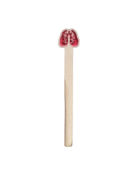 Lungs Cribbage Board Pegs