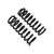 ARB / OME Front Coil Springs - 4011 Photo - out of package