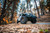 Photo - lifestyle view
