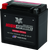 Twin Power YTX14 High Performance Battery Replaces H-D 65948-00 Made in USA 200 CCA - 485002 User 1