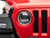 Photo - Close Up