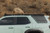 DV8 25-26 Toyota 4Runner Exterior Window Molle for DV8 Roof Rack - Driver - RRTF3-02EMD Photo - Close Up