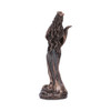 Bronzed Figure - Fortuna