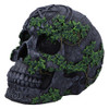 Skull Figure - Aged Pentagram