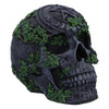 Skull Figure - Aged Pentagram