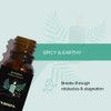 Manifestation Oil - Uncrossing