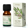 Tea Tree Essential Oil