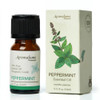 Peppermint Essential Oil