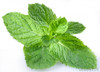 Peppermint Essential Oil