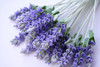 Lavender Essential Oil