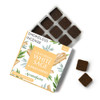 Incense Bricks - White Sage