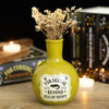 Candle Holder - Eye of Newt Potion