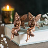Ornament - Fairy shelf sitters