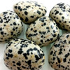 Dalmation Jasper Tumbled Stone