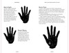 Book - Palmistry in Focus